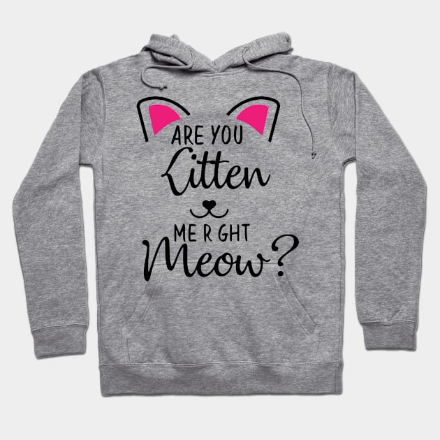 Kitten Me Right Meow Hoodie by lombokwetan